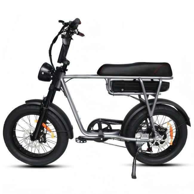 Mini Fat Tire Bike
