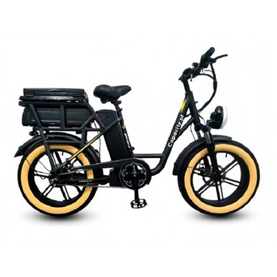 48V 26Ah bateria bikoitzeko ziklomotor estiloko bizikleta elektrikoa